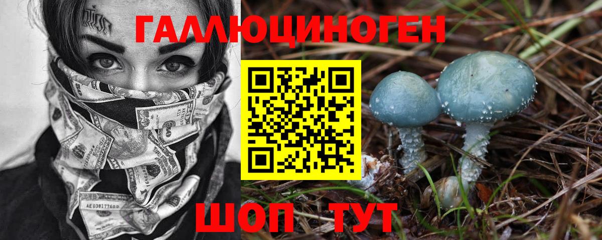 Псилоцибиновые грибы мицелий Пятигорск